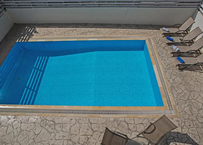 Palm 36 * 프로타라스